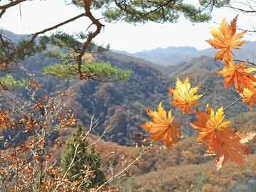 黨峪鎮(zhèn)最新交通新聞