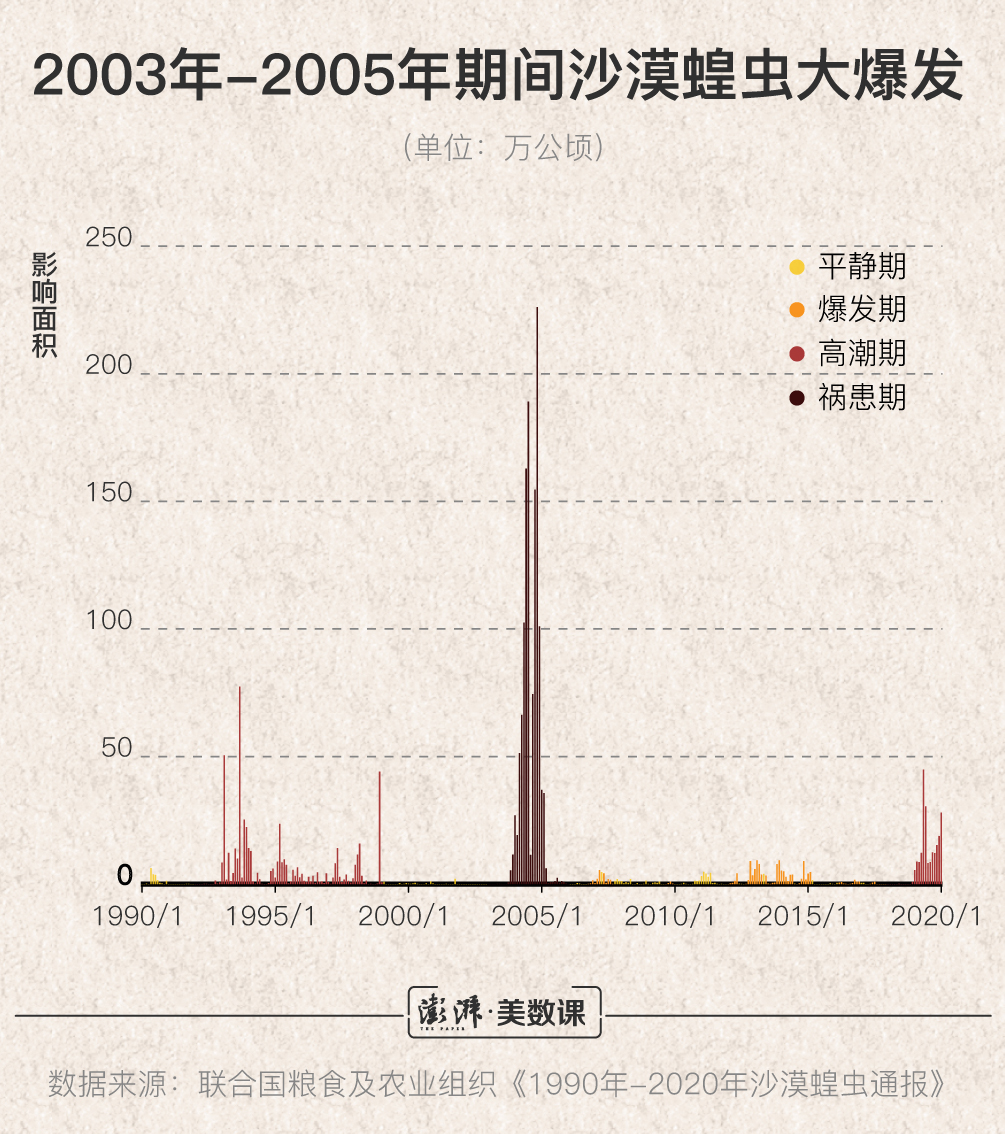 全球蝗災最新動態，挑戰與應對策略解析