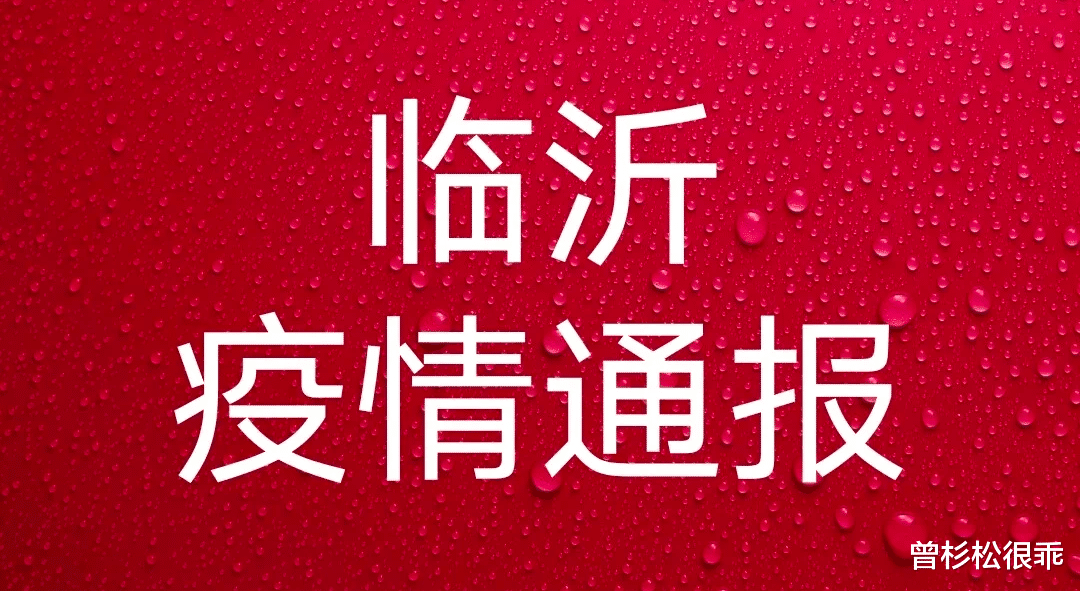 臨沂疫情最新動(dòng)態(tài)，堅(jiān)定信心，攜手共克時(shí)艱