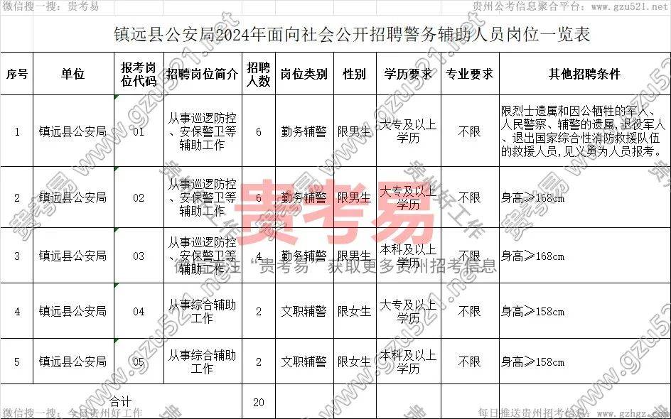 內鄉縣公安局最新招聘信息