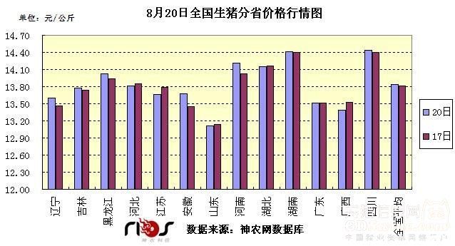 浙江最新生豬價格行情